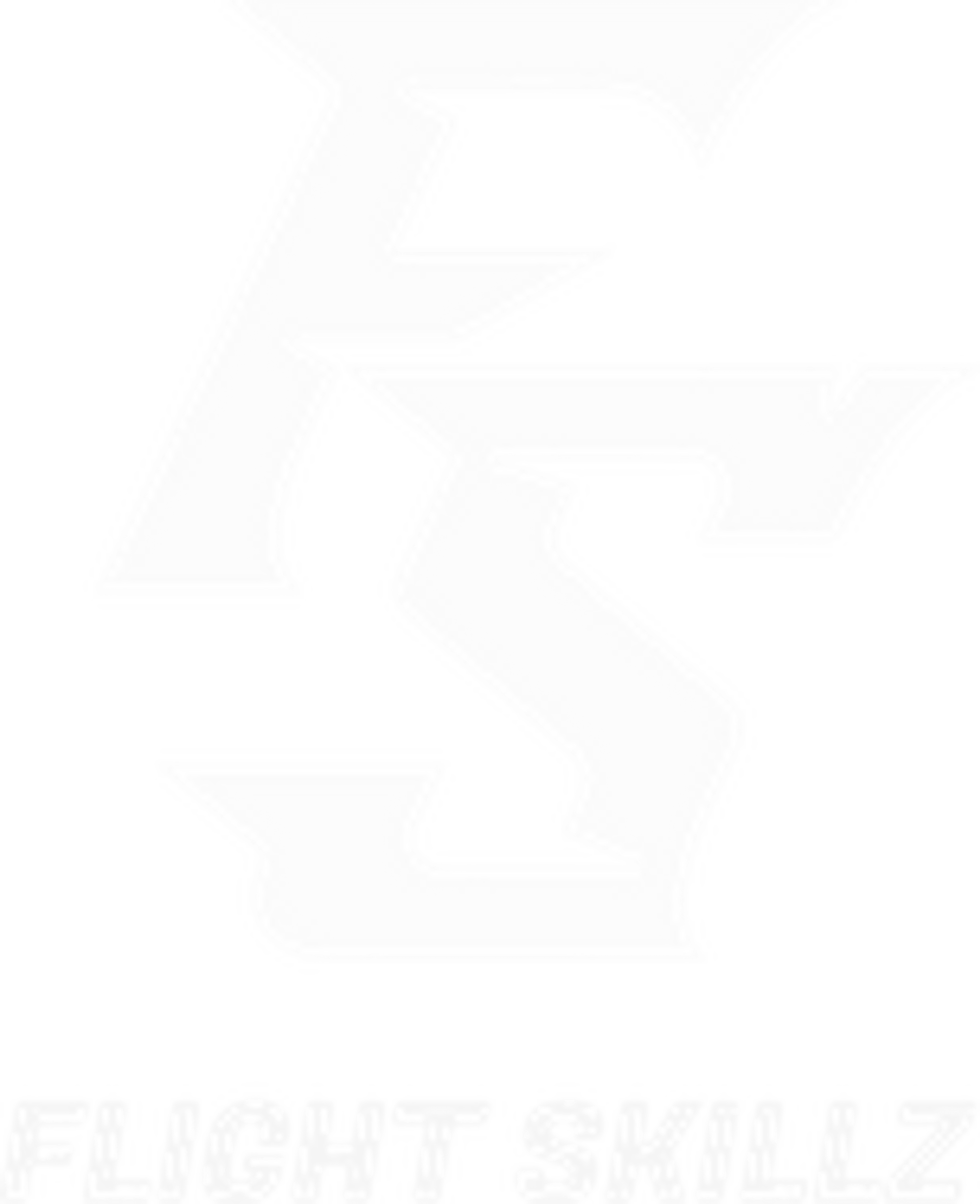 Flight Skillz | undefined Logo