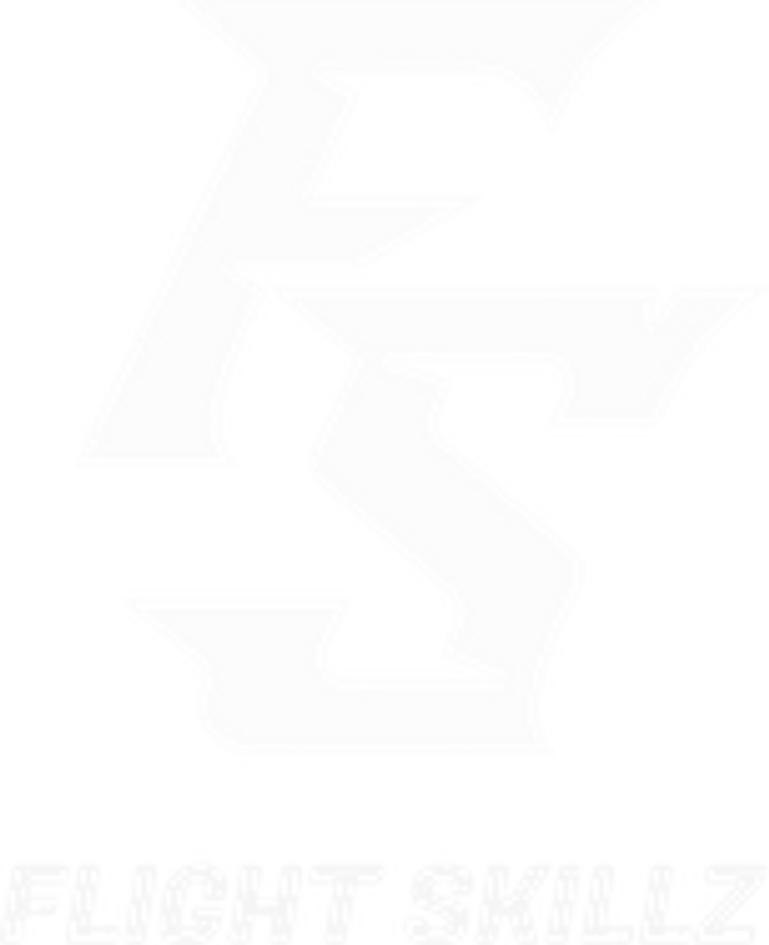 Flight Skillz Logo
